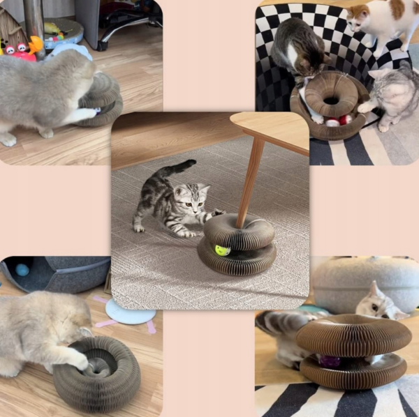 Interaktyvus žaislinis draskytuvas su kamuoliuku ir tuneliu + katžolė - Image 7